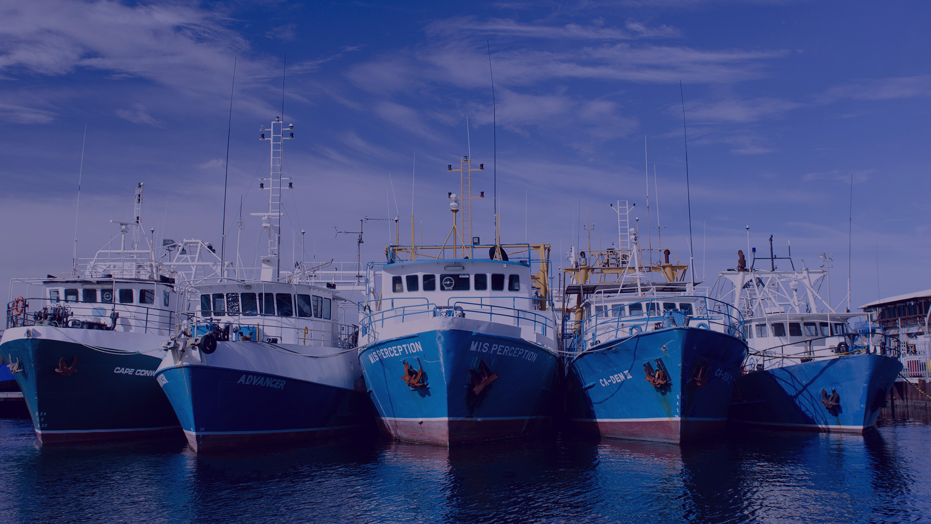 Barcos pesqueros en puerto