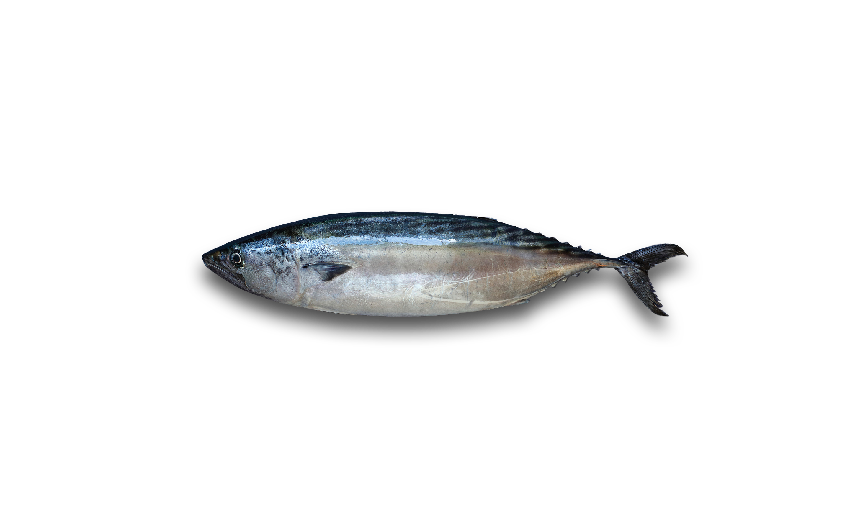 Caballa