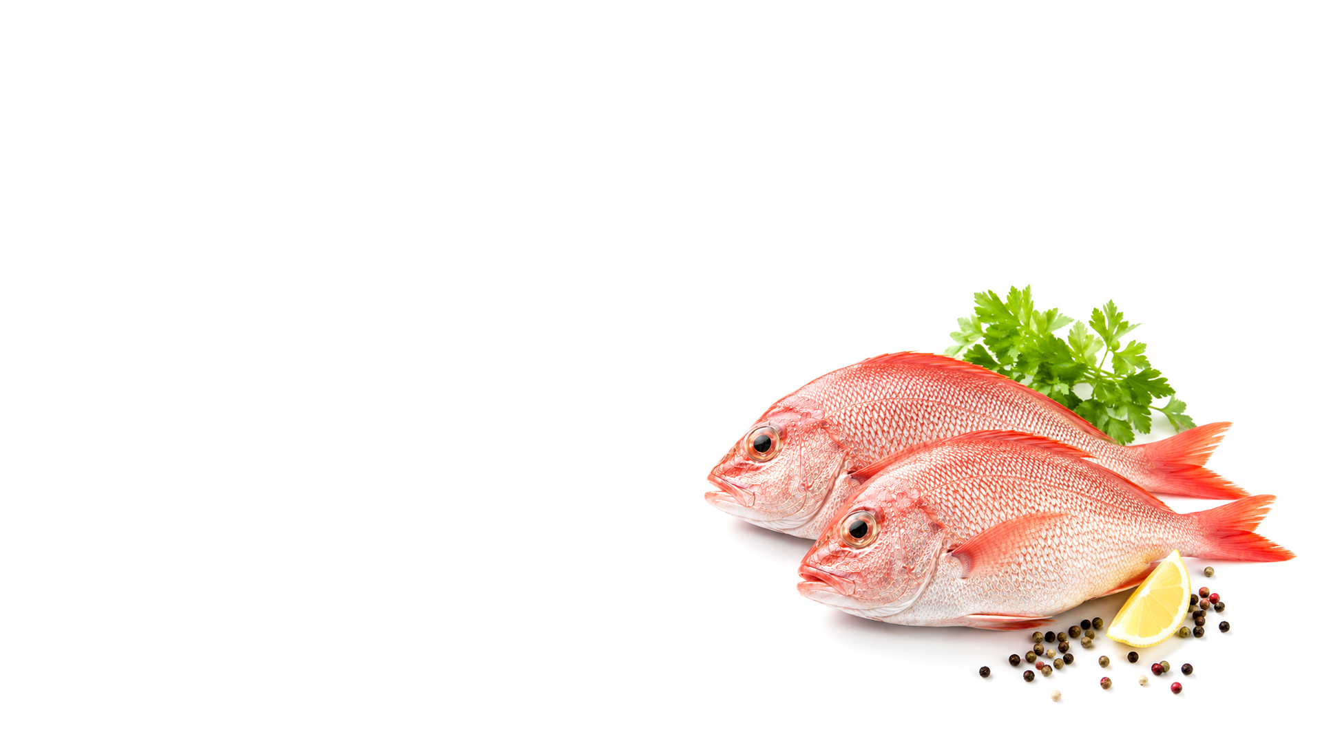 Pargo rojo fresco con perejil y limón